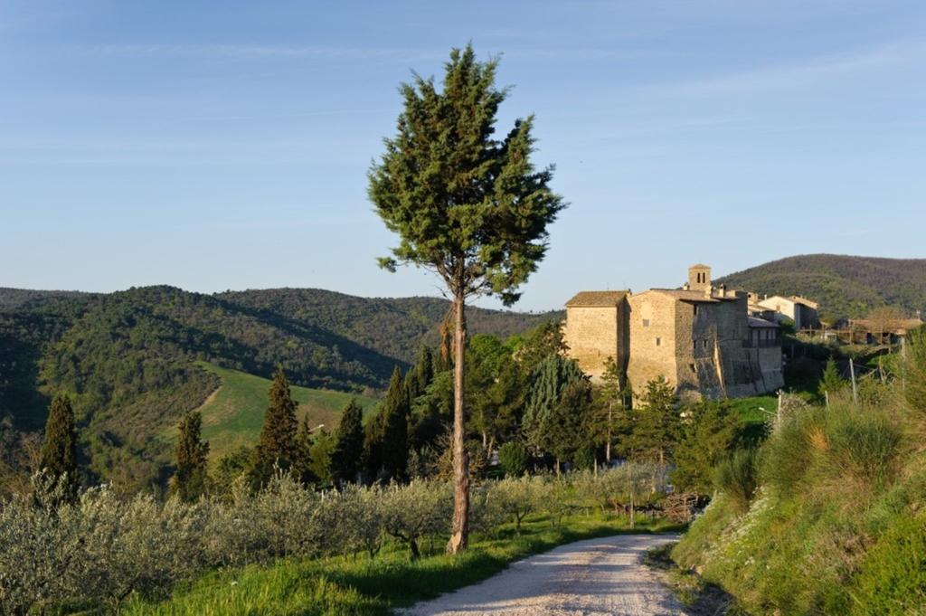 Umbria Nel Cuore Cannara Экстерьер фото